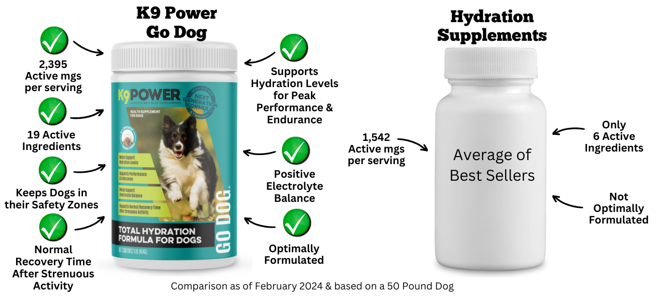 Best dog vitamins for shedding best sale